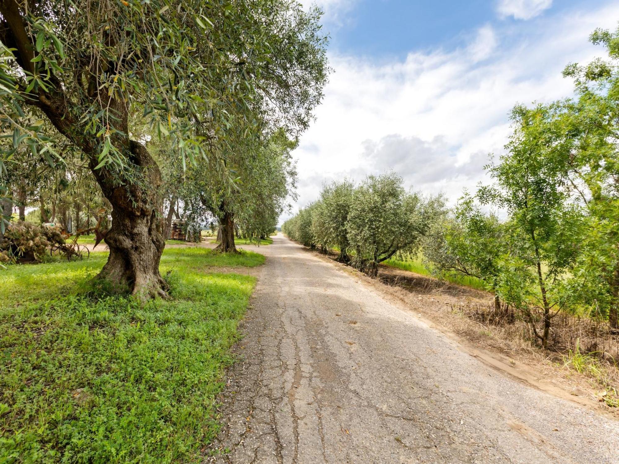 Apartment With Pool Amid Vineyards And Near The Beach Mèze Esterno foto